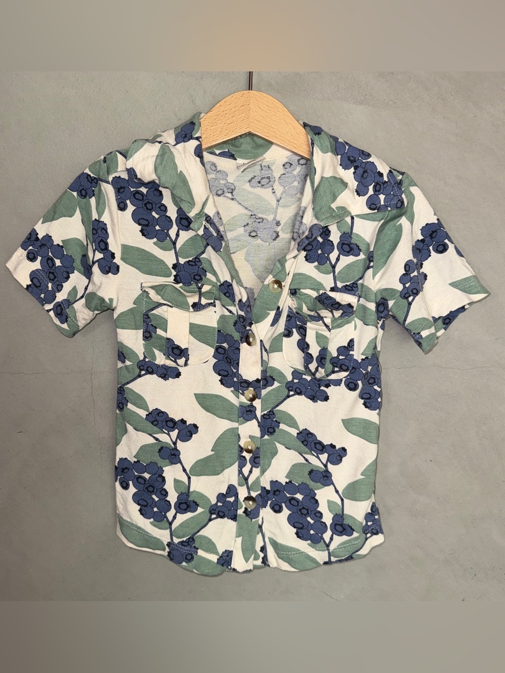 Kate Quinn bamboo short sleeve polo shirt 2T blueberry greenery print